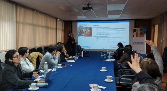 Odepa participa en el primer Comité Técnico Nacional del proyecto Comunidades Conectadas