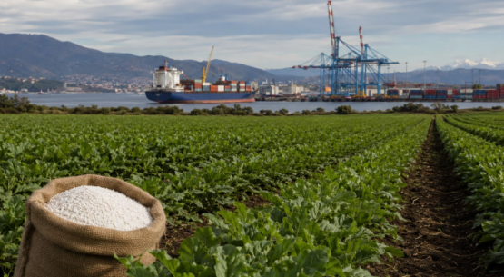Urea en Chile: del mercado internacional a los costos de la agricultura