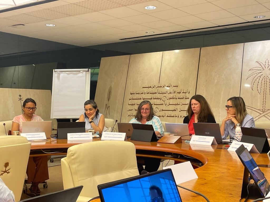 Jacqueline Espinoza, subdirectora (s) de Odepa, participa junto a otras representantes en la Reunión de Miembros de la Alianza FAST en la sede de la FAO en Roma.