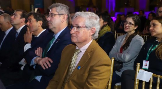 Director (s) de Odepa participa en la conmemoración del Día Nacional del Vino y llama a innovar sin perder identidad
