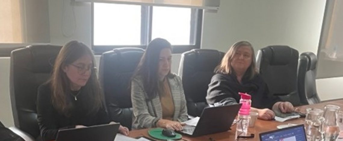 Se realizó el taller “Mujeres rurales e indígenas del sector silvoagropecuario en cifras”, organizado por Odepa