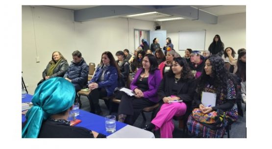 Subdirectora (s) de Odepa participó en conmemoración del Día Internacional de la Mujer Indígena en Temuco
