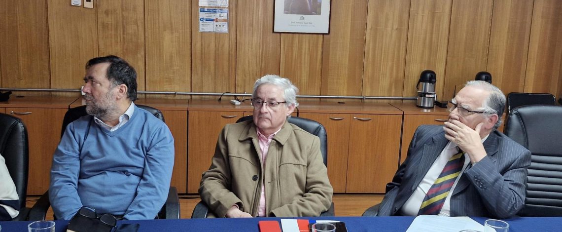 Mesa Nacional de la Avena anuncia Conferencia Internacional de Avena que se realizará en Pucón