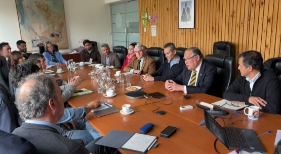 Ministerio de Agricultura realiza primera Mesa Técnica del Huevo en el Día Mundial de este producto