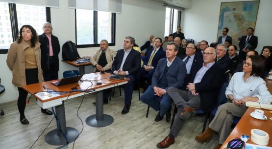 Taller avanza en la construcción del Plan de Acción para la Ganadería Bovina de Carne