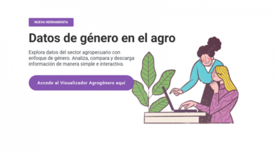 Actualizado el Visualizador de Género